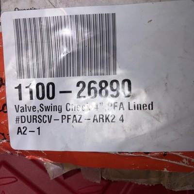 FlowServe Swing Check Valve ARK2 4” ARK 0033902 PFA Lined
