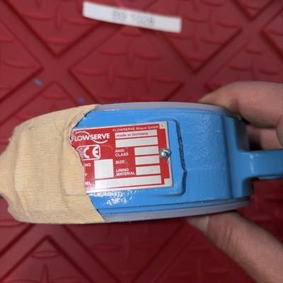 FlowServe Swing Check Valve ARK2 3” ARK 0033979 PFA Lined